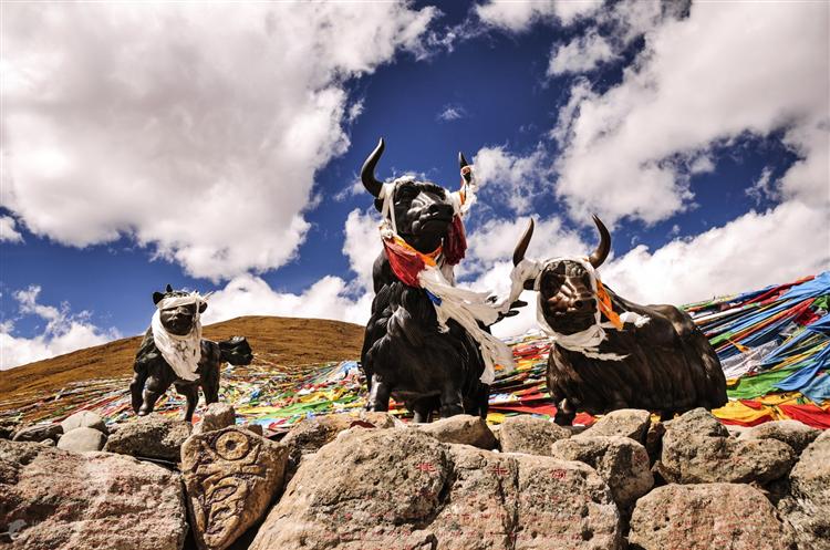 “去西藏”旅游平台下月上线